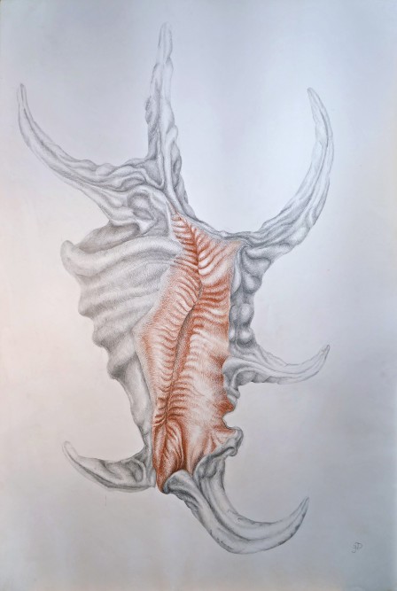 50313034303432332d6241687231jpg