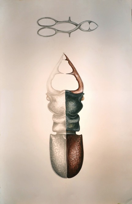 50313034303437322d4b48585848jpg