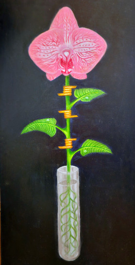 Si jolie mais?huile sur toile4
